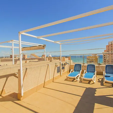 019 Lomas Penthouse - Alicante 托雷维耶哈